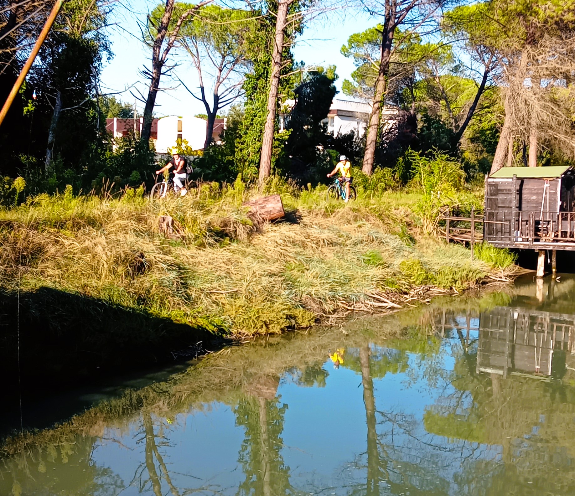Cicloturismo: La Pineta di Cervia ed il MUseo del Sale