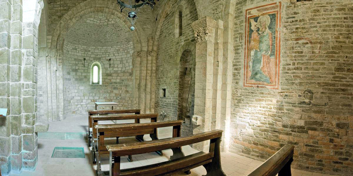 Avacelli, i Templari di Sant'Ansovino e la pineta del Monte Predicatore (2)